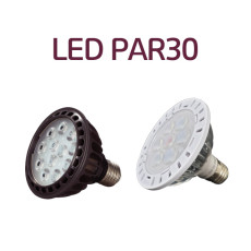 KS인증 진성전자 LED PAR30 12W 확산형 렌즈타입